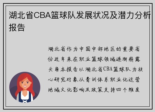 湖北省CBA篮球队发展状况及潜力分析报告